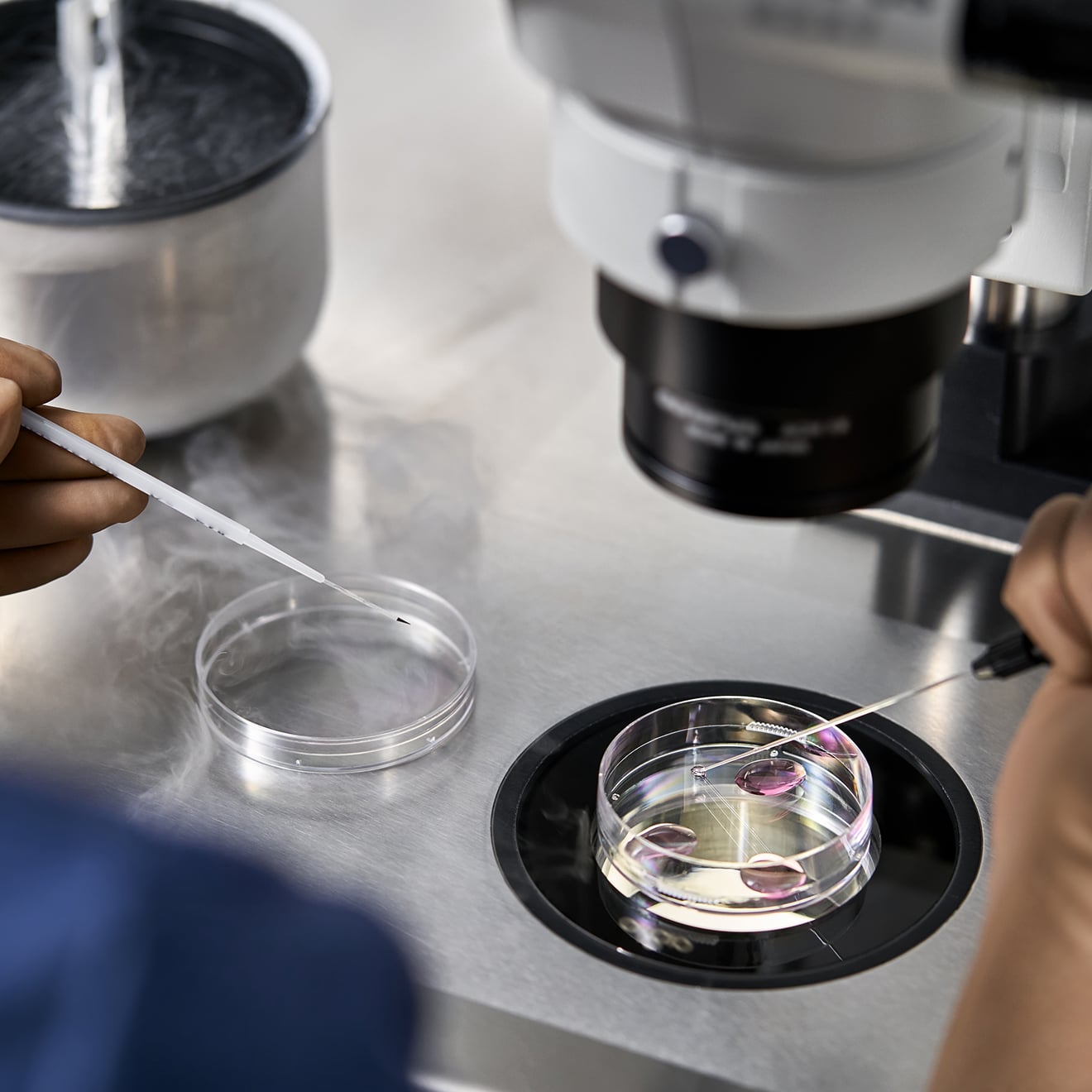 Scientist analyzing samples in petri dish