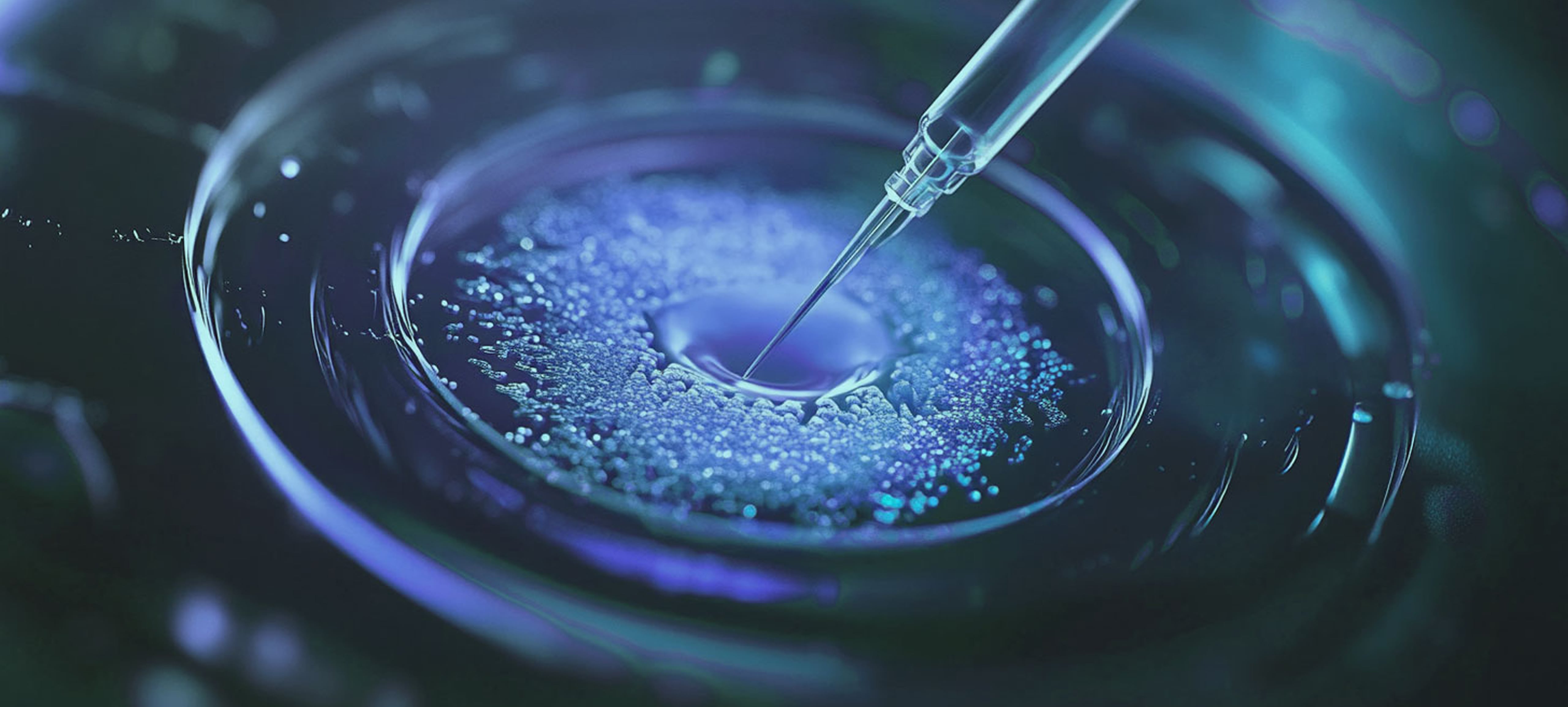 Laboratory research and scientific analysis