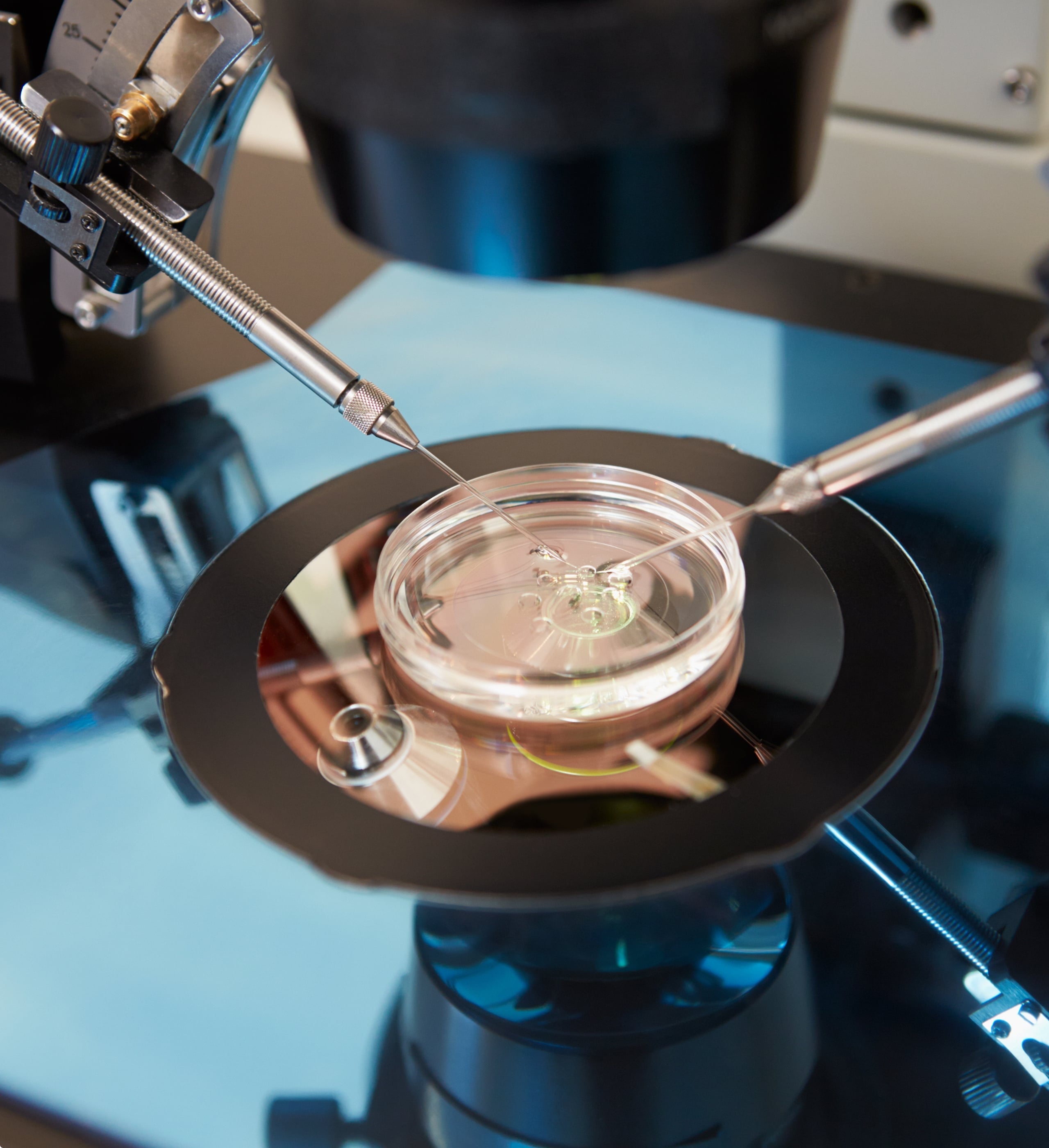 2017 milestone: early platform development, precision instruments working on cell sample in petri dish