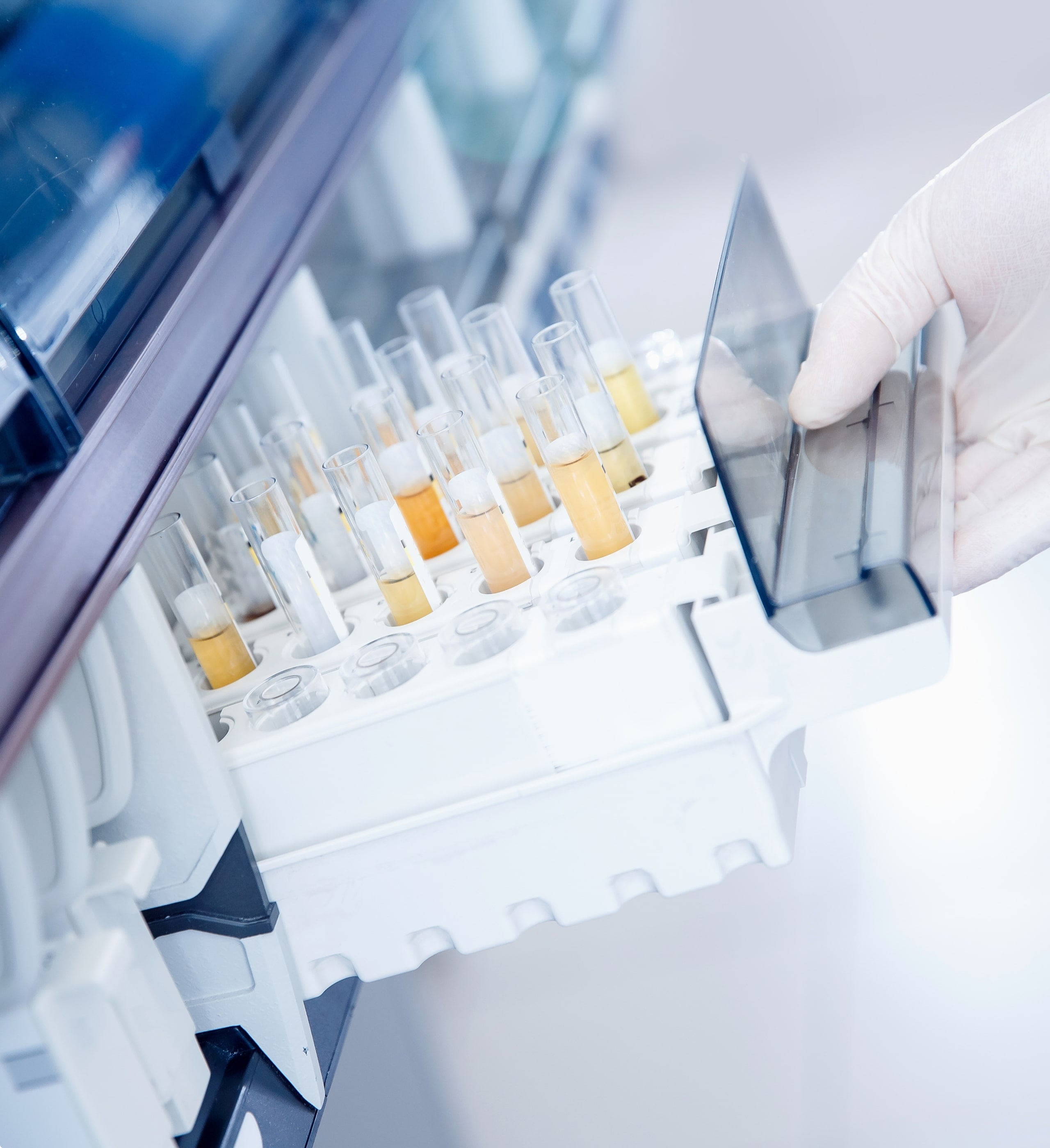 2023 milestone: portfolio expansion and healthcare growth, lab test tubes in automated analyzer