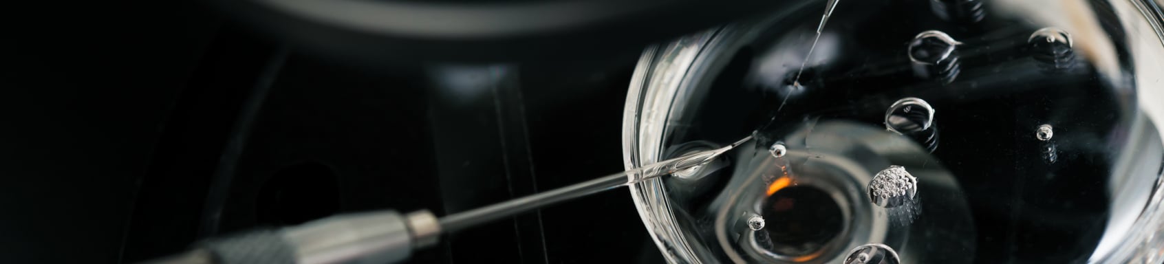 US Fertility Forms Strategic Partnership to Accelerate Growth and Expand Access to Advanced Reproductive Care