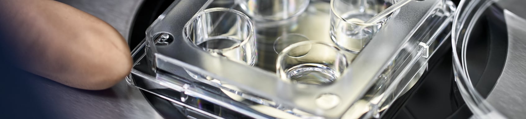 USF and Ovation Fertility to Combine to Form Leading National Fertility Platform