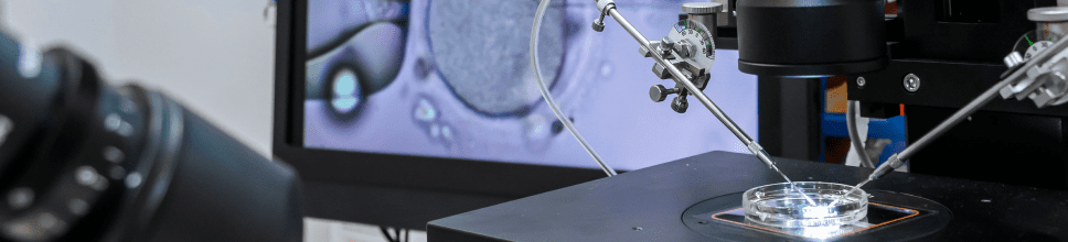 Amulet Capital Partners Announces Investment in TFP Fertility Group