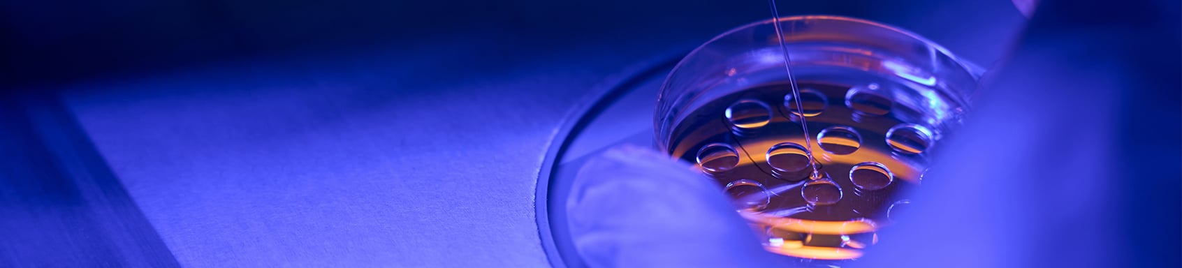 Amulet Capital Partners Closes Continuation Vehicle to Support Continued Growth of US Fertility Led by StepStone